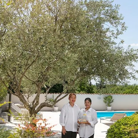 Pietre D'istria Burici